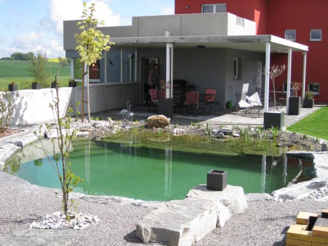 kleiner Schwimmteich